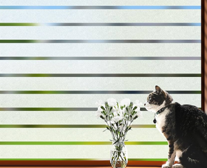 Película de Vidro Decorativa Listras: Privacidade Elegante, Estilo Moderno e Um Impulso nas Suas Vendas 